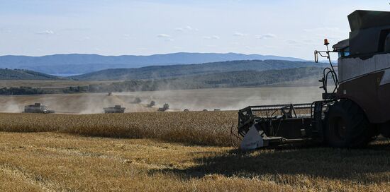 Russia Agriculture Wheat Harvesting