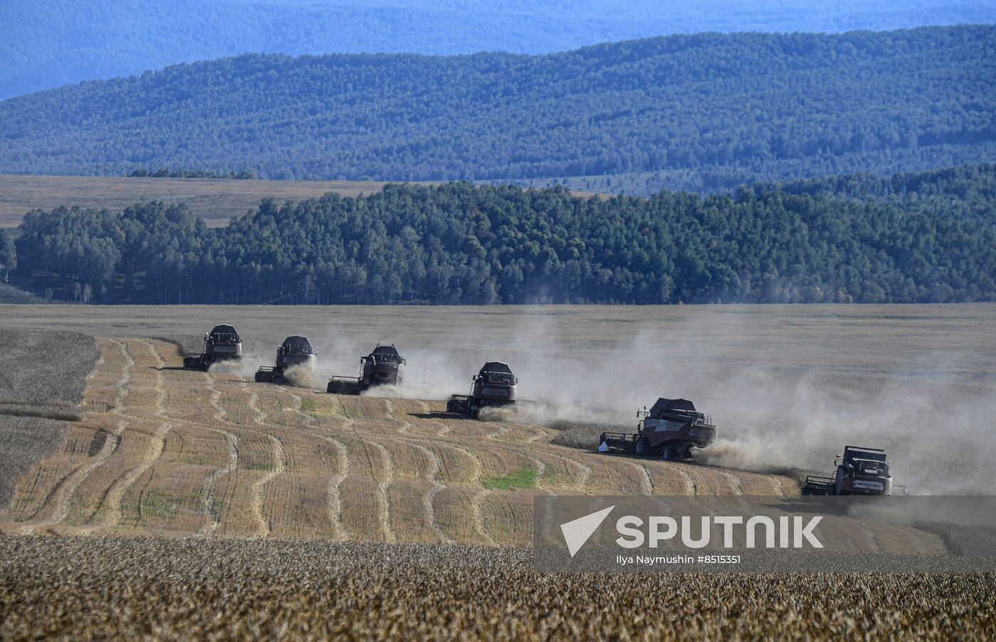 Russia Agriculture Wheat Harvesting