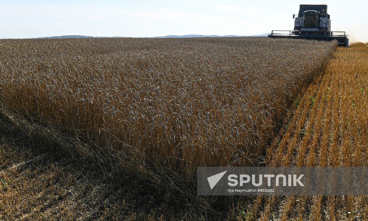 Russia Agriculture Wheat Harvesting