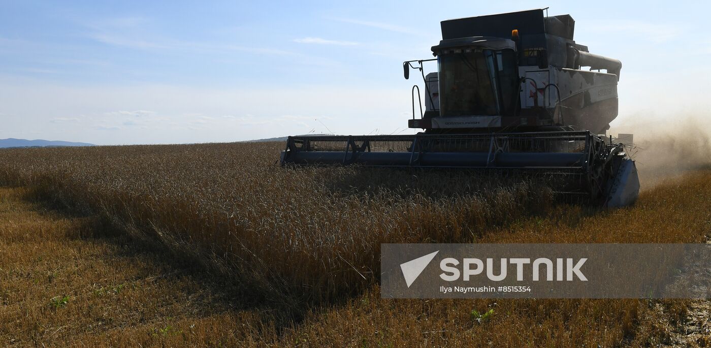 Russia Agriculture Wheat Harvesting