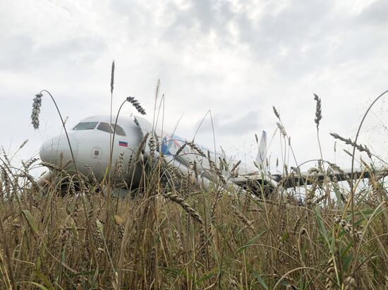 Russia Aircraft Emergency Landing