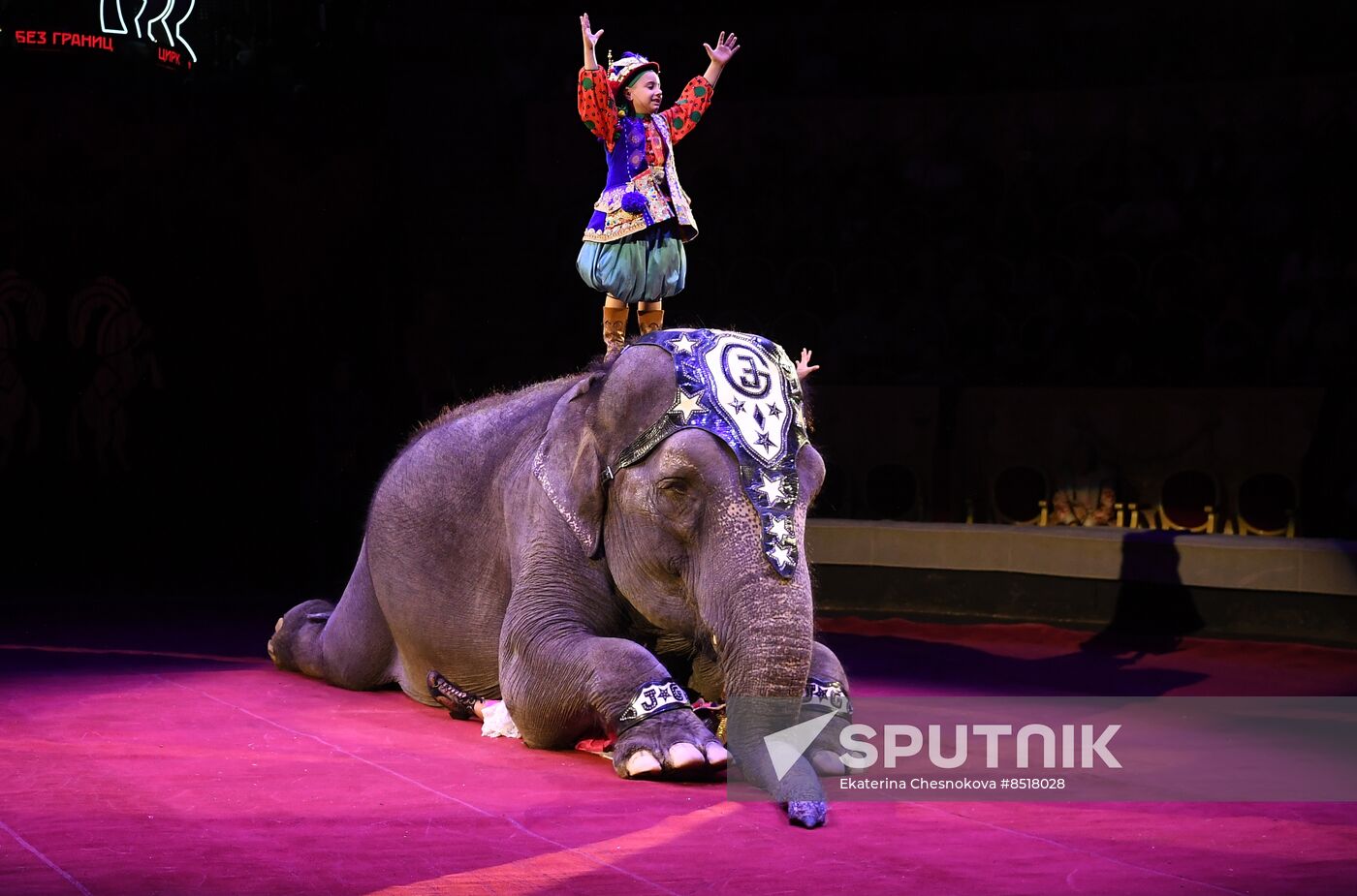 Russia International Circus Art Festival