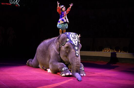 Russia International Circus Art Festival