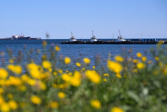 Russia Coal Terminal