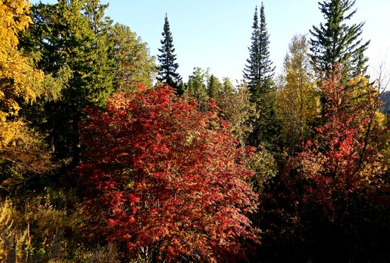 Russia Siberia Environment