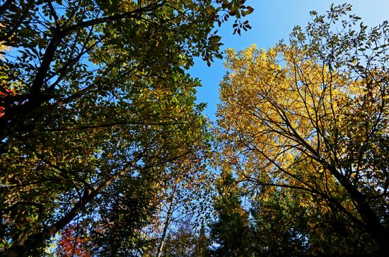 Russia Siberia Environment