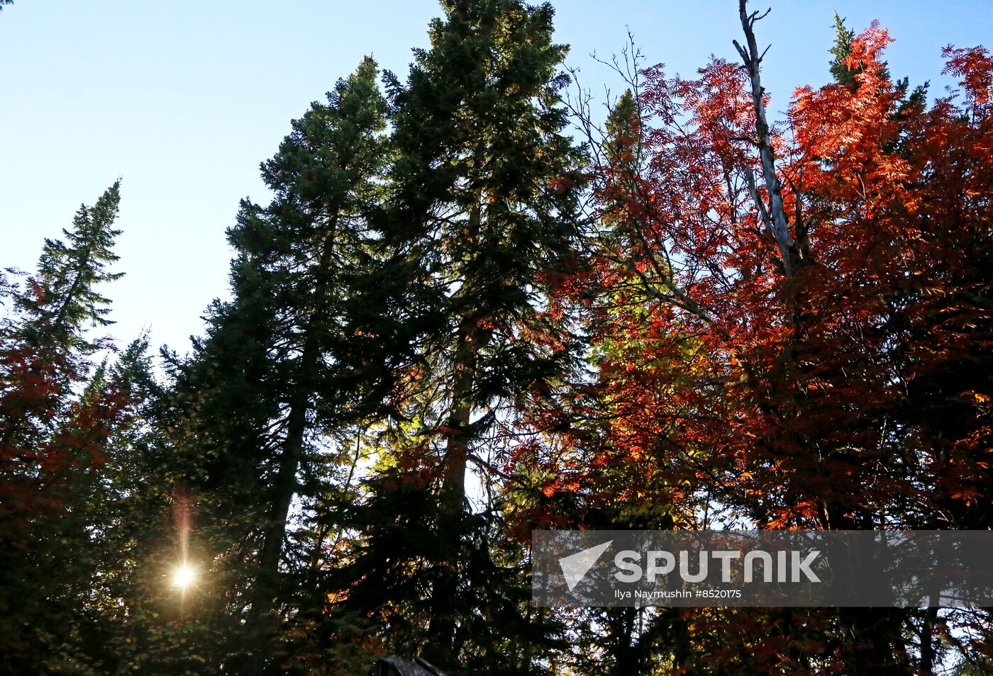 Russia Siberia Environment