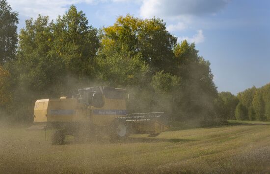 Russia Agriculture Harvesting