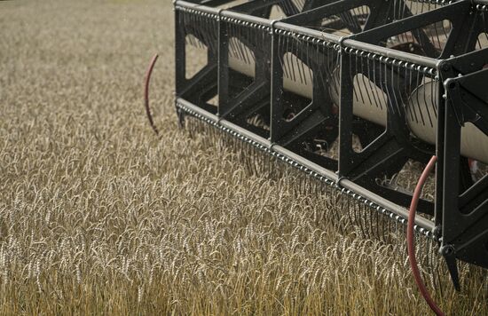 Russia Agriculture Harvesting