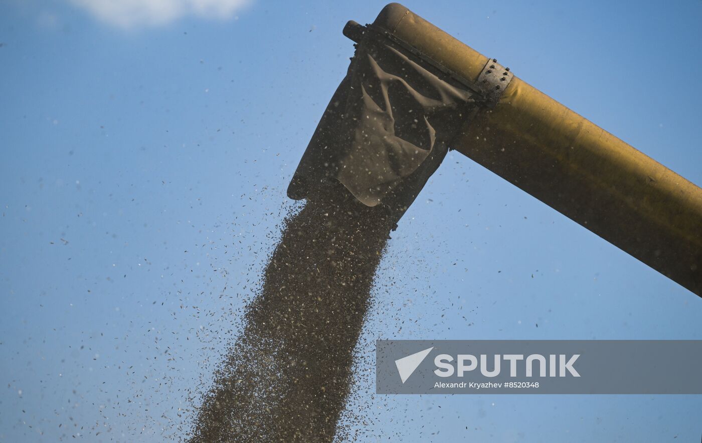 Russia Agriculture Harvesting