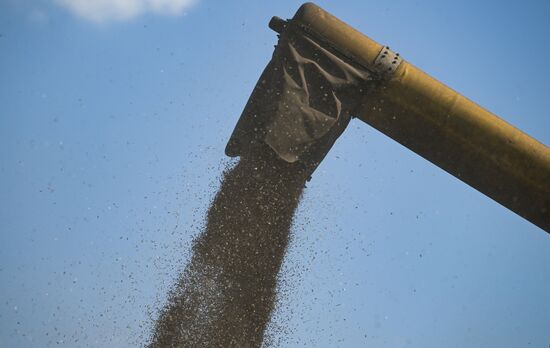 Russia Agriculture Harvesting