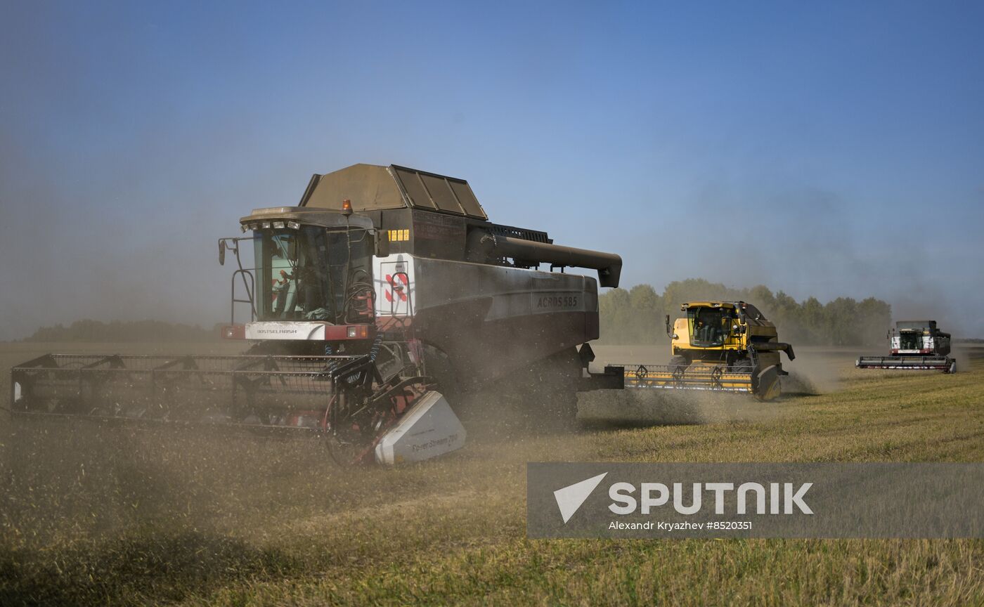 Russia Agriculture Harvesting