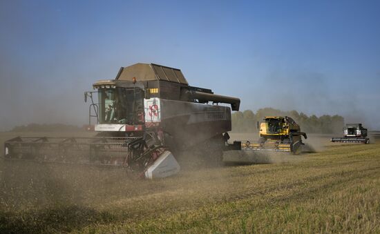 Russia Agriculture Harvesting