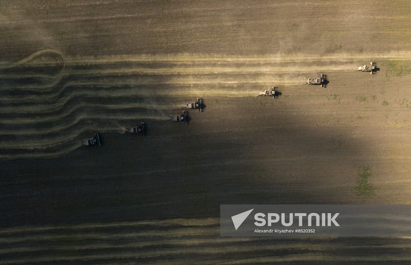 Russia Agriculture Harvesting