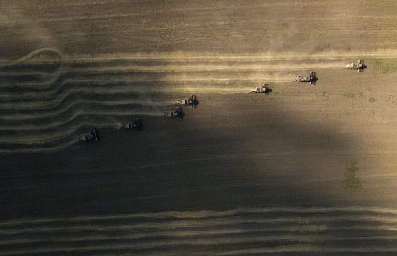 Russia Agriculture Harvesting
