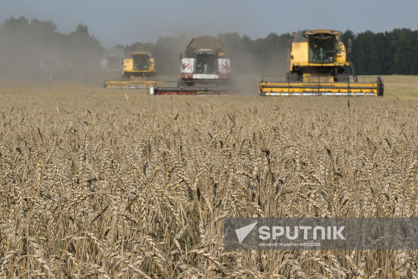 Russia Agriculture Harvesting