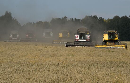 Russia Agriculture Harvesting