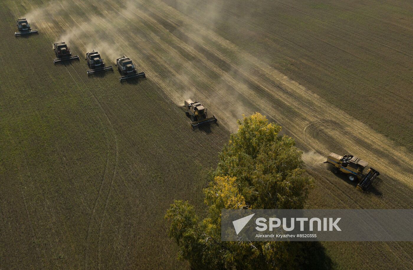 Russia Agriculture Harvesting