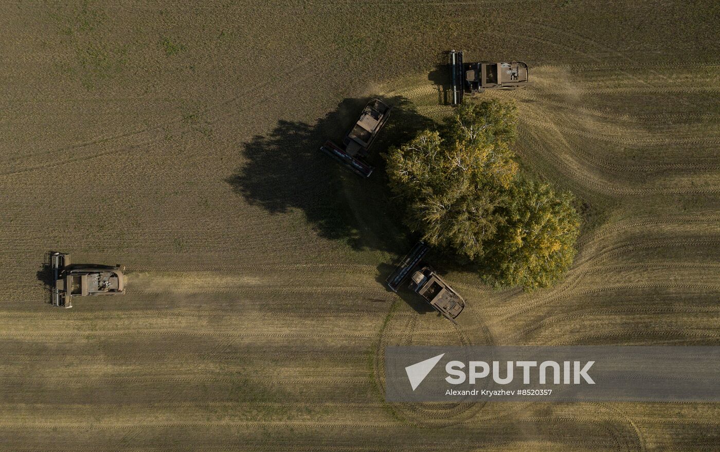 Russia Agriculture Harvesting