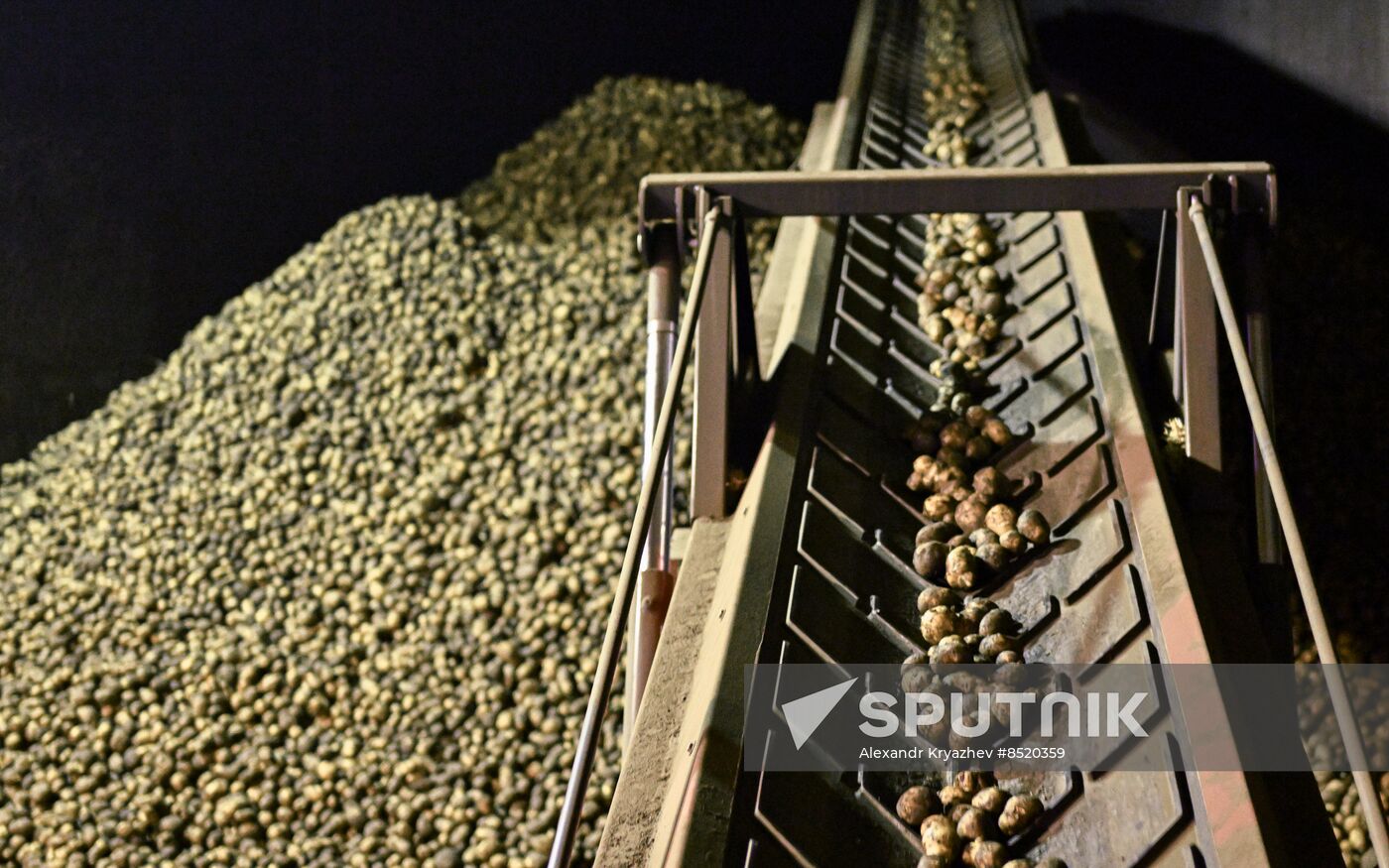 Russia Agriculture Harvesting