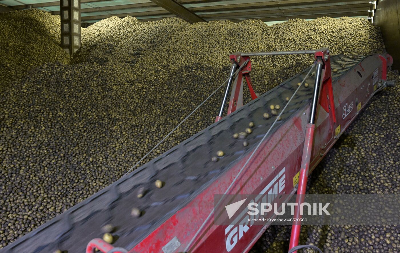 Russia Agriculture Harvesting
