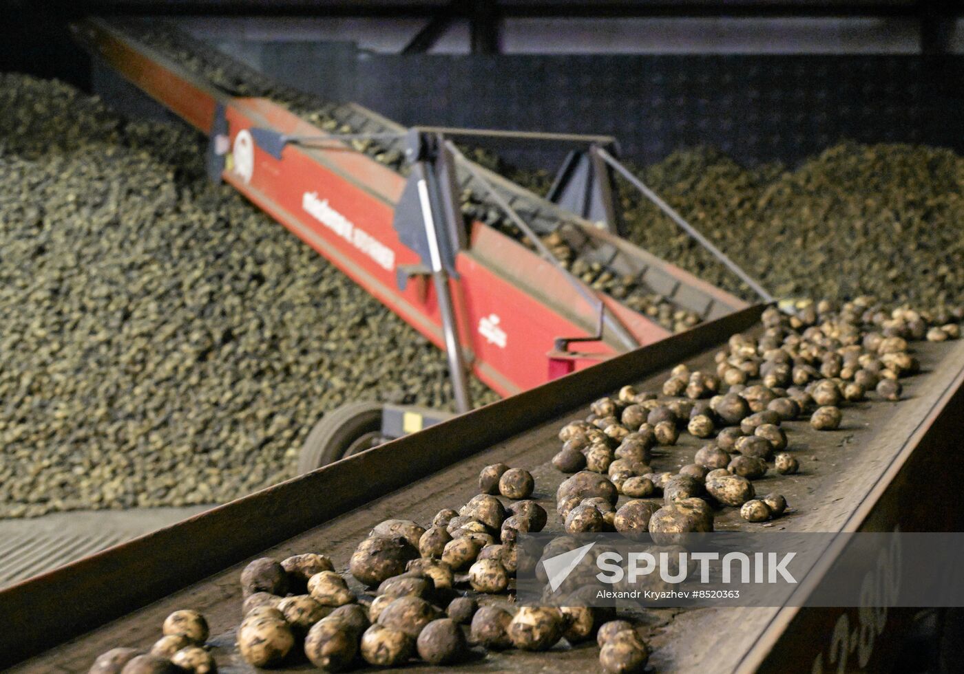 Russia Agriculture Harvesting