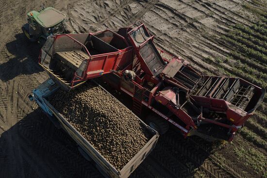 Russia Agriculture Harvesting