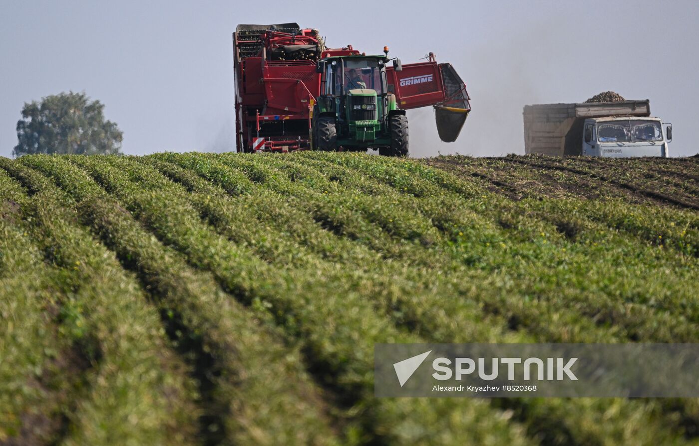 Russia Agriculture Harvesting