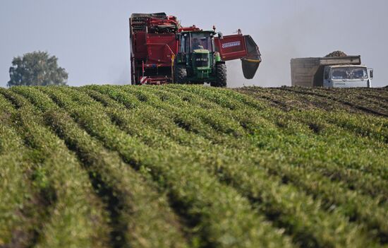 Russia Agriculture Harvesting