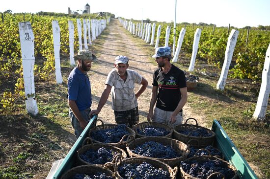 Russia LPR Agriculture Harvesting