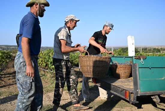 Russia LPR Agriculture Harvesting