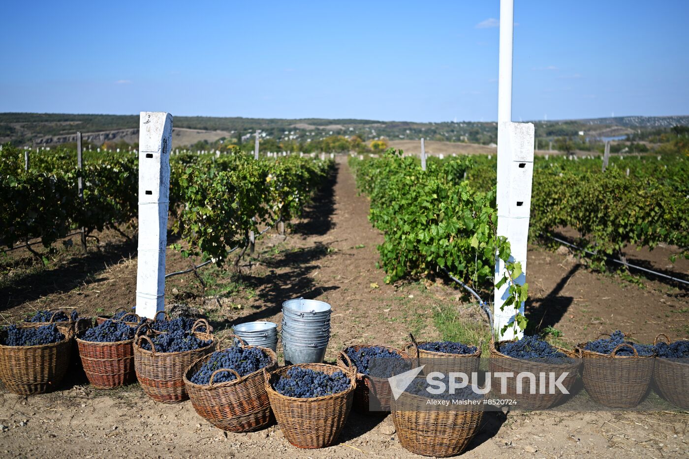 Russia LPR Agriculture Harvesting