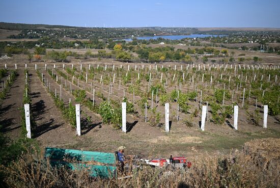 Russia LPR Agriculture Harvesting