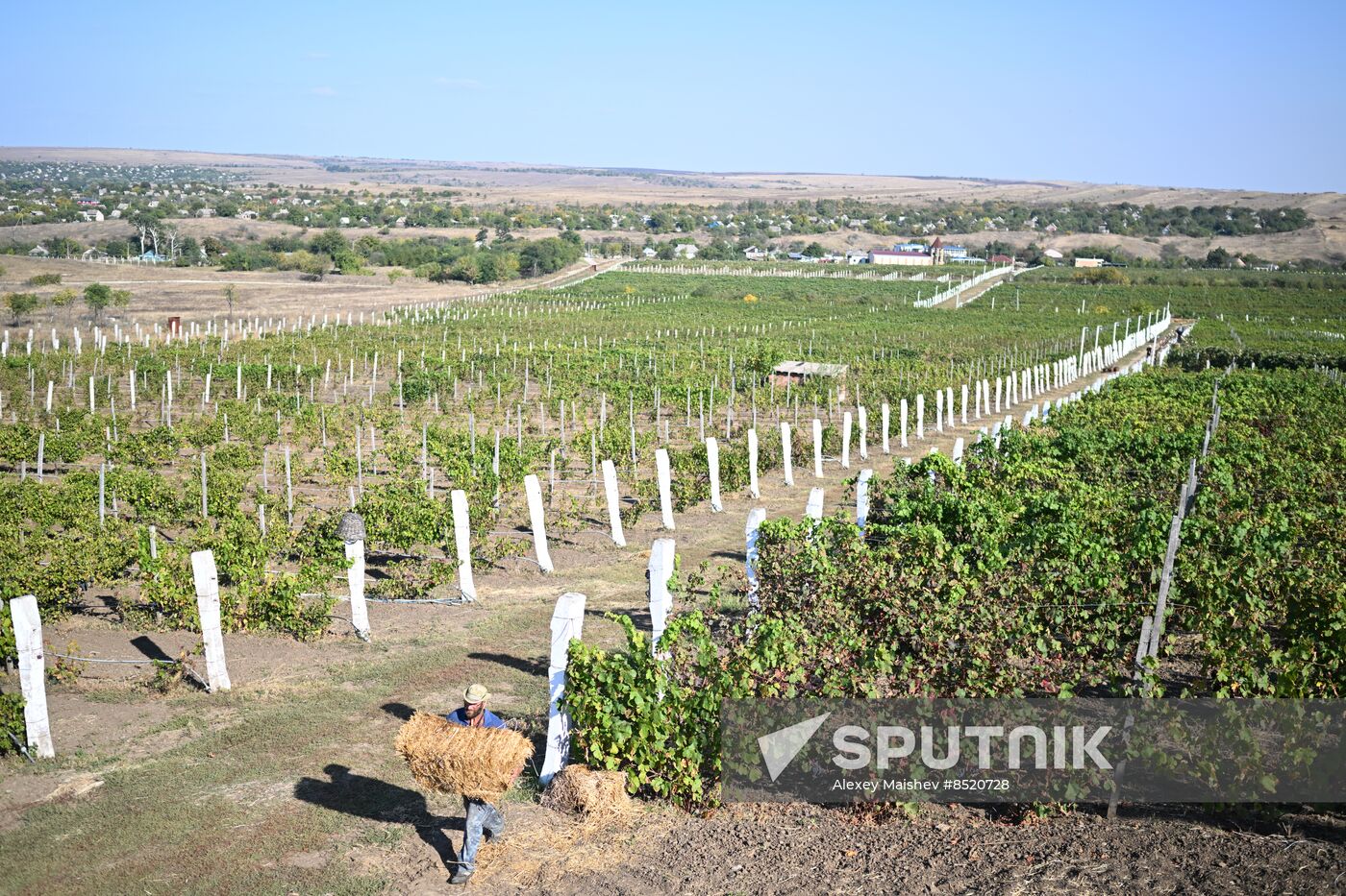 Russia LPR Agriculture Harvesting