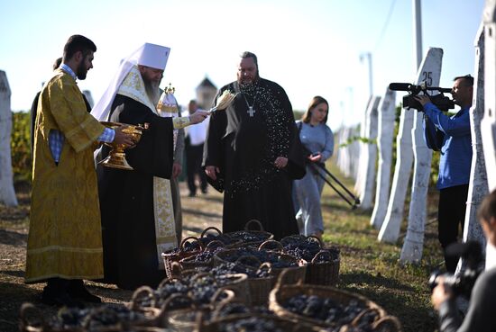 Russia LPR Agriculture Harvesting