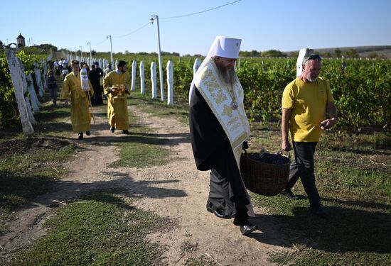 Russia LPR Agriculture Harvesting