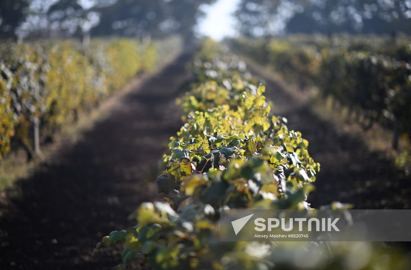 Russia LPR Agriculture Harvesting