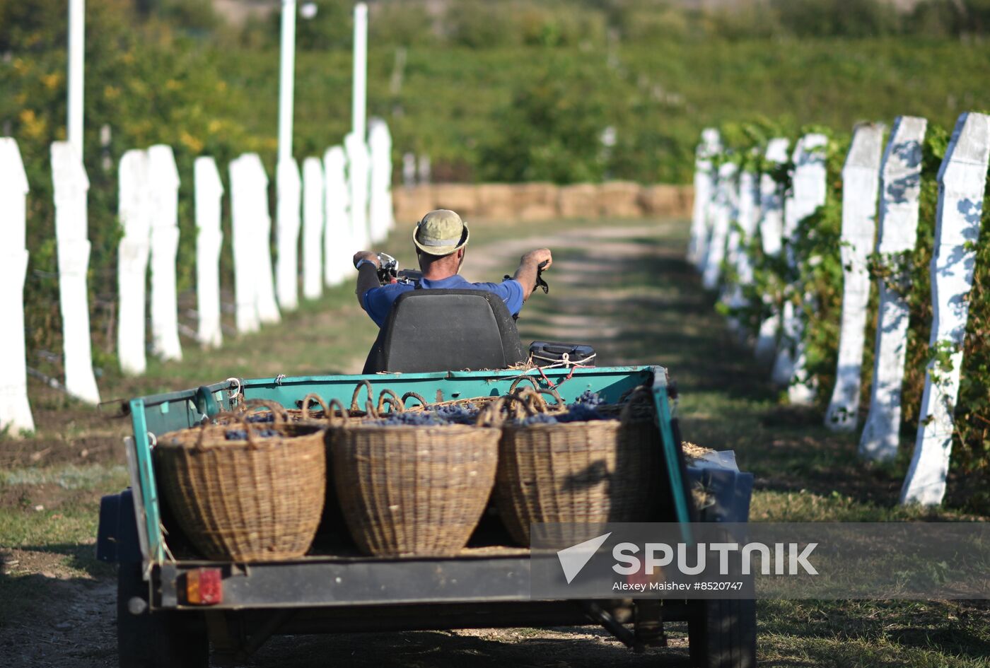 Russia LPR Agriculture Harvesting