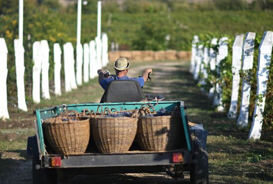 Russia LPR Agriculture Harvesting