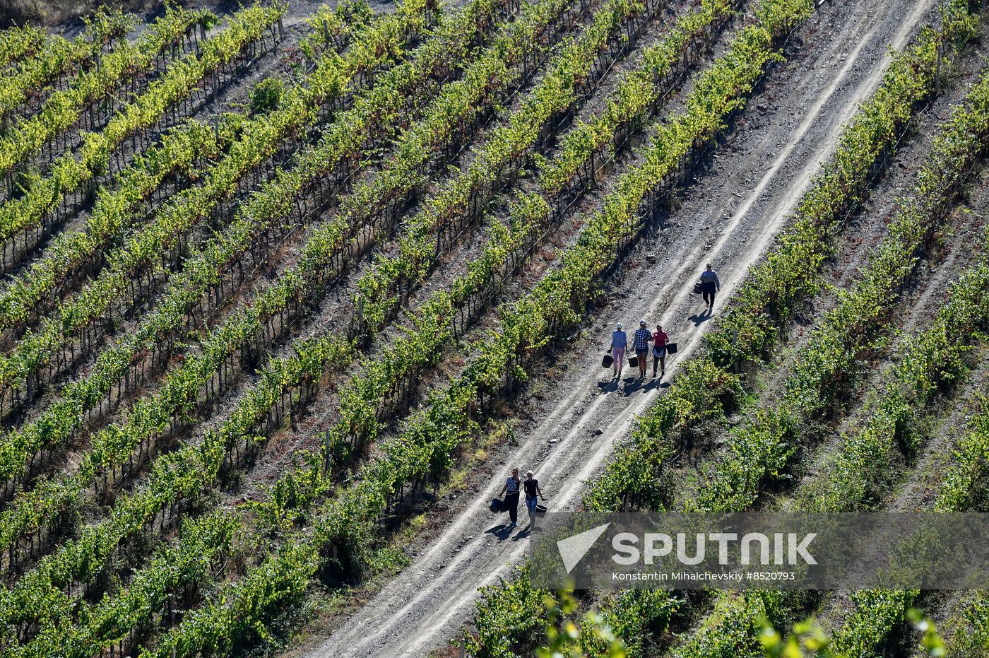 Russia Crimea Agriculture Harvesting