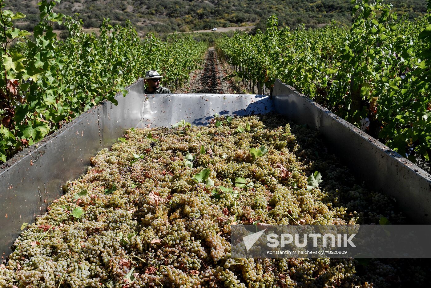 Russia Crimea Agriculture Harvesting