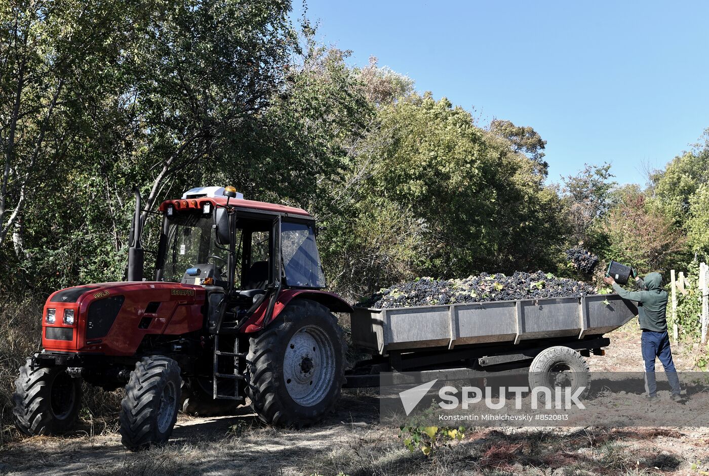 Russia Crimea Agriculture Harvesting