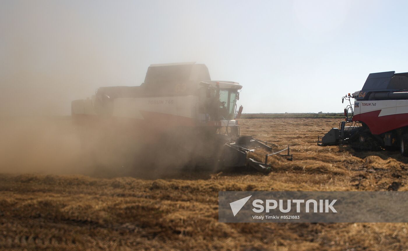 Russia Rice Harvesting