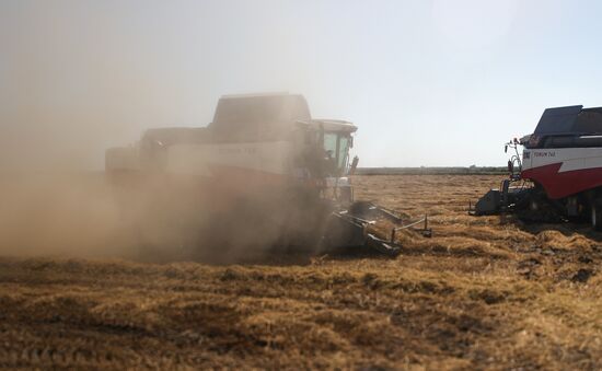 Russia Rice Harvesting
