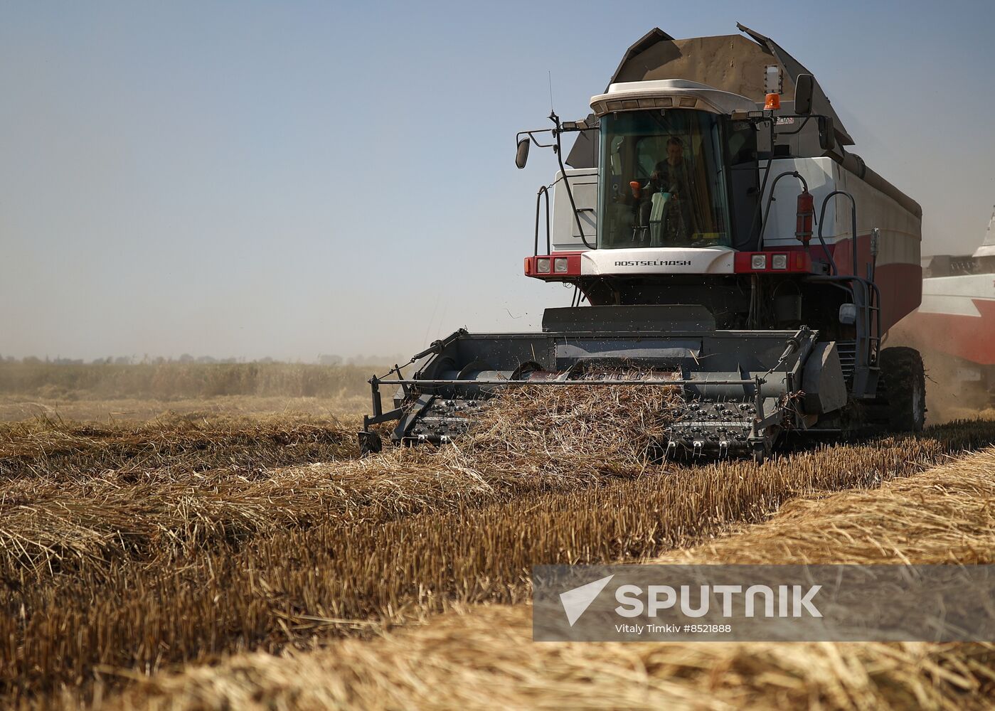 Russia Rice Harvesting