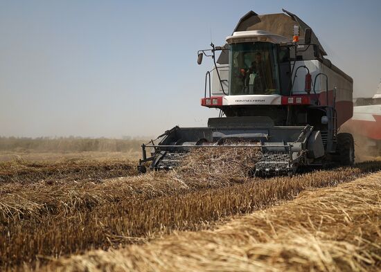 Russia Rice Harvesting