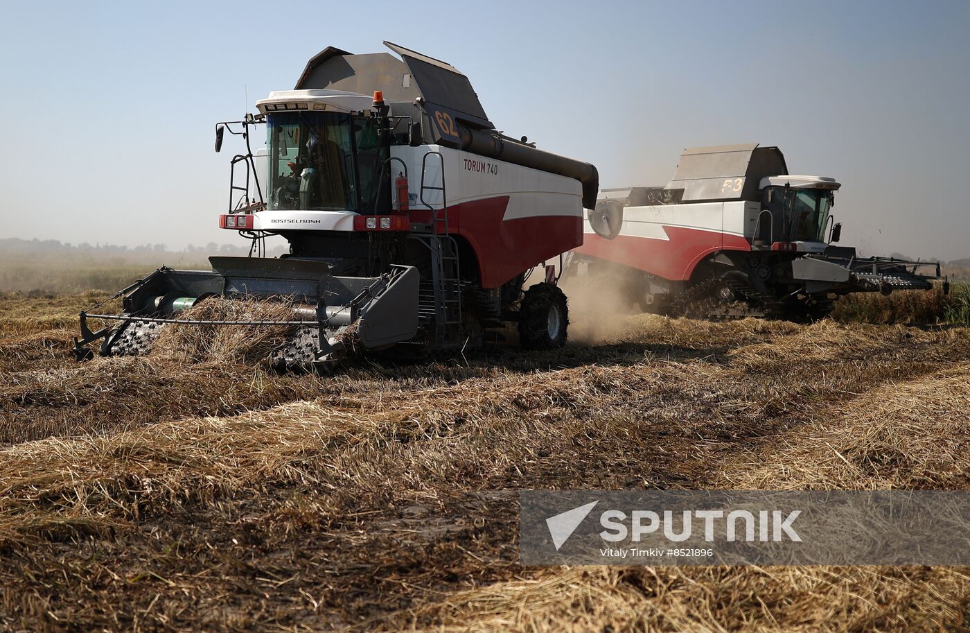 Russia Rice Harvesting