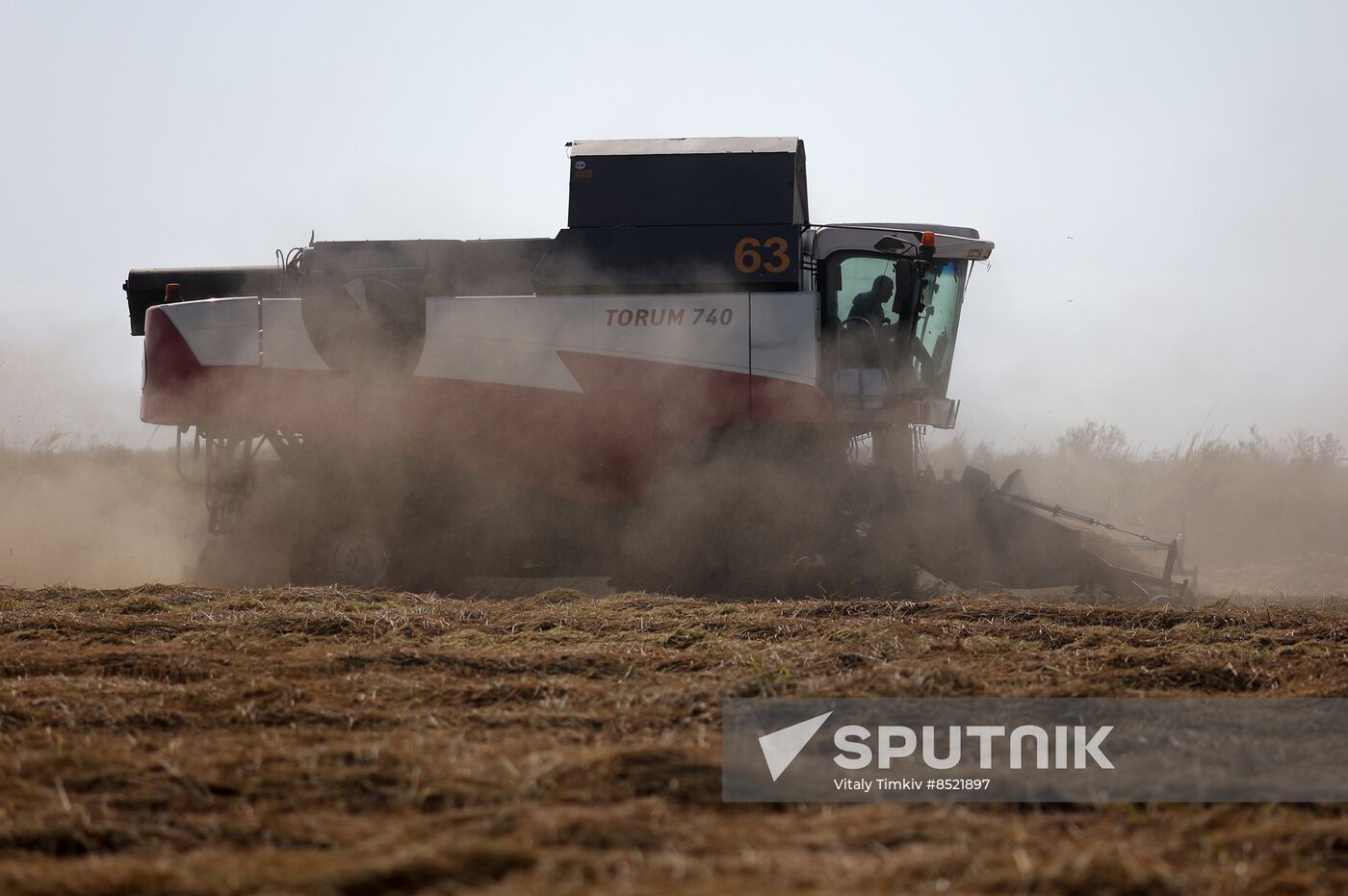 Russia Rice Harvesting