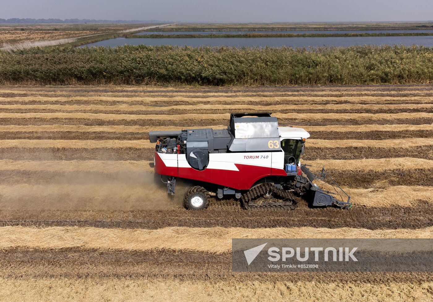 Russia Rice Harvesting