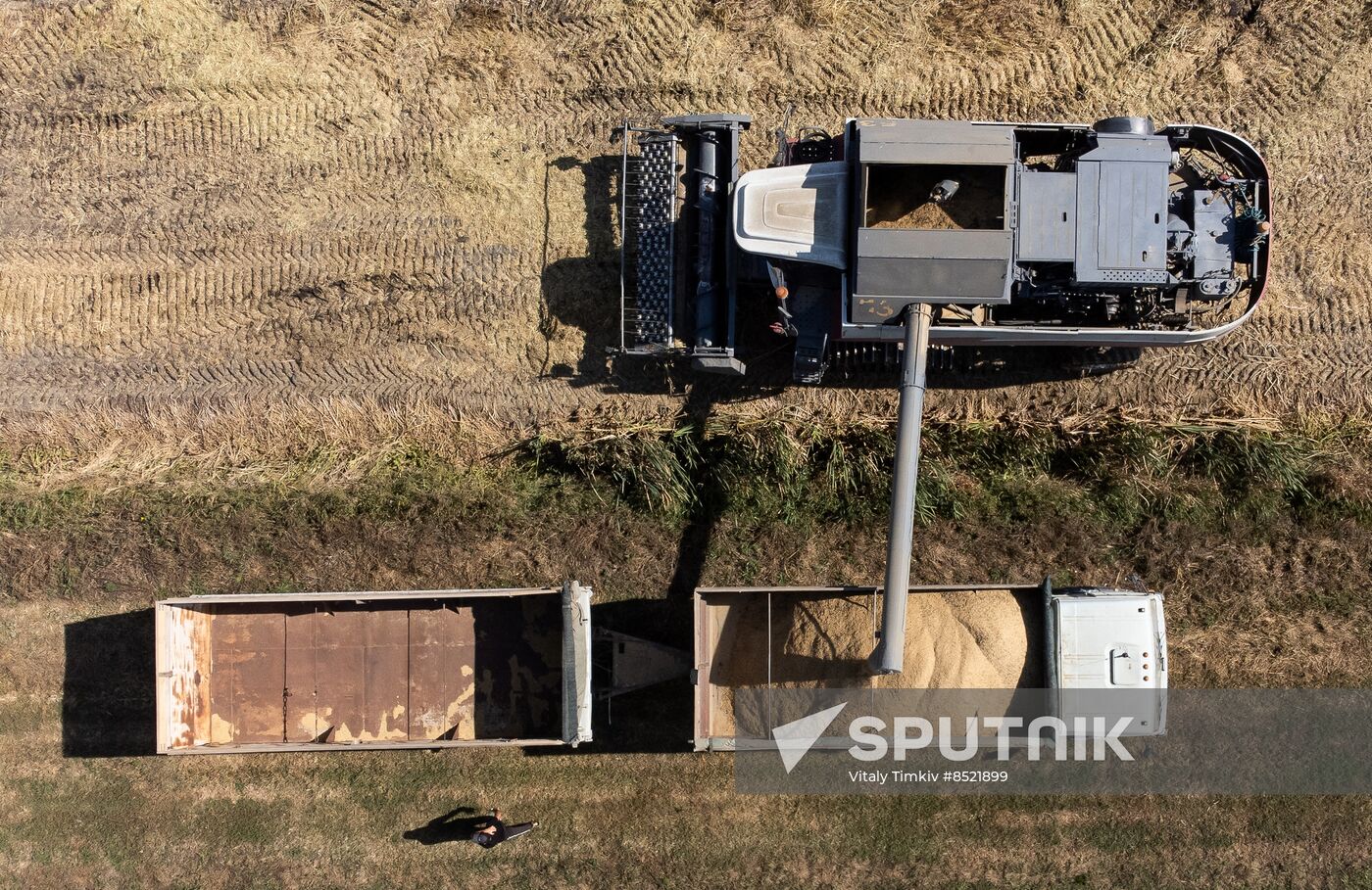 Russia Rice Harvesting